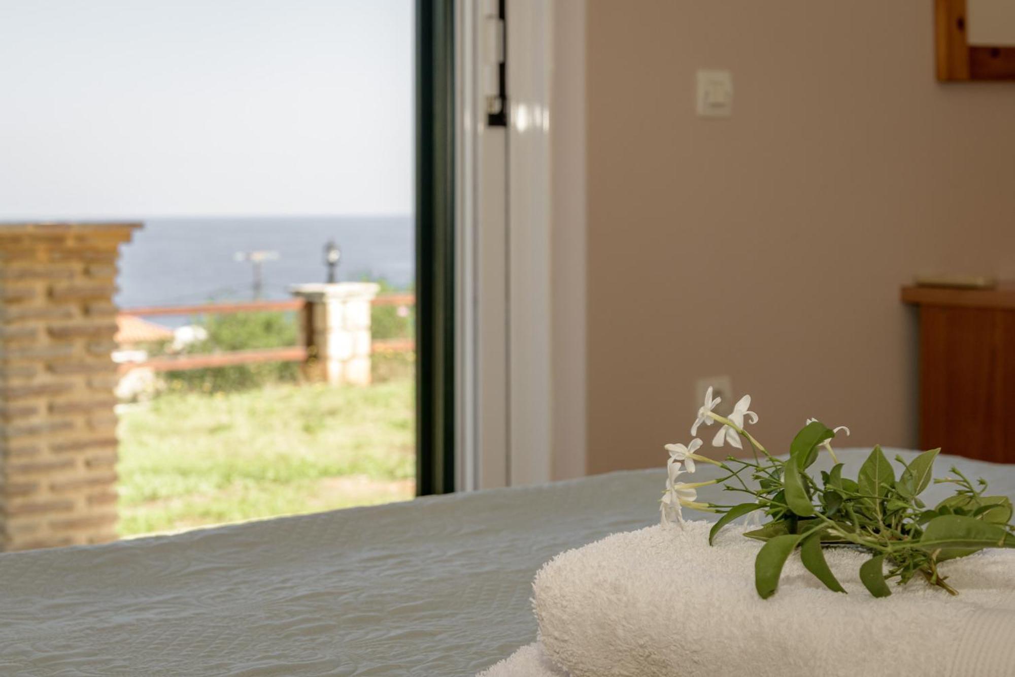 Villa Mare Studios Skinaria Ngoại thất bức ảnh